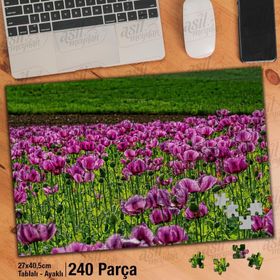Asil Hobi Mor Gelincikler-Kır-Doğa-Manzara Yapboz-Ayak Destekli Çerçeveli 240 Parça Puzzle