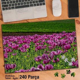 Asil Hobi Mor Gelincikler-Kır-Doğa-Manzara Yapboz-Ayak Destekli Çerçeveli 240 Parça Puzzle