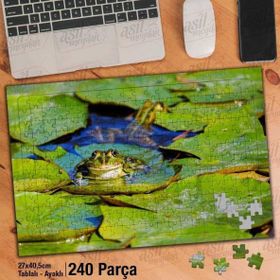 Asil Hobi Mutlu Kurbağ-Gölet-Yeşil Yapraklar Yapboz-Ayak Destekli Çerçeveli 240 Parça Puzzle