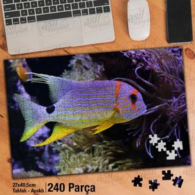 Asil Hobi Okyanus Balığı-Deniz-Sualtı Canlıları Yapboz-Ayak Destekli Çerçeveli 240 Parça Puzzle