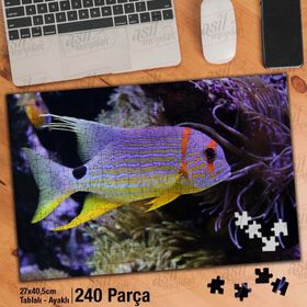 Asil Hobi Okyanus Balığı-Deniz-Sualtı Canlıları Yapboz-Ayak Destekli Çerçeveli 240 Parça Puzzle
