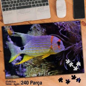 Asil Hobi Okyanus Balığı-Deniz-Sualtı Canlıları Yapboz-Ayak Destekli Çerçeveli 240 Parça Puzzle