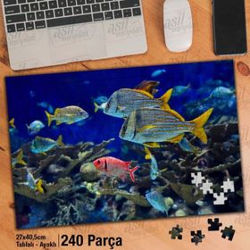 Asil Hobi Okyanus-Doğa-Balıklar-Deniz Altı Yapboz-Ayak Destekli Çerçeveli 240 Parça Puzzle