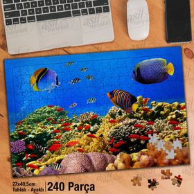 Asil Hobi Okyanus-Renkli Balıklar-Sualtı Canlıları Yapboz-Ayak Destekli 240 Parça Puzzle