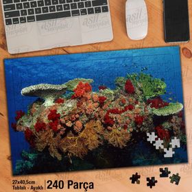 Asil Hobi Okyanus-Sualtı Canlıları Yapboz-Ayak Destekli 240 Parça Puzzle