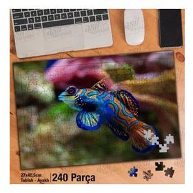 Asil Hobi Okyanustaki Renkli Balık-Doğa-Manzara Yapboz-Ayak Destekli Çerçeveli 240 Parça Puzzle
