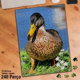 Asil Hobi Ördek-Çimen-Doğa-Hayvan-Gökyüzü Yapboz-Ayak Destekli Çerçeveli 240 Parça Puzzle