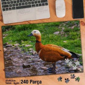 Asil Hobi Ördek-Kaz-Kuş Türü-Doğa-Naturel Yapboz-Ayak Destekli Çerçeveli 240 Parça Puzzle