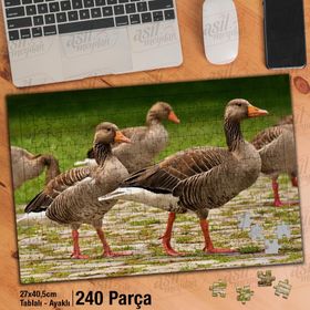 Asil Hobi Ördek Topluluğu-Kaz-Doğa-Hayvan Yapboz-Ayak Destekli Çerçeveli 240 Parça Puzzle