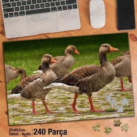 Asil Hobi Ördek Topluluğu-Kaz-Doğa-Hayvan Yapboz-Ayak Destekli Çerçeveli 240 Parça Puzzle