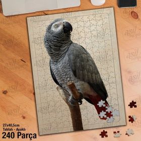 Asil Hobi Papağan-Afrika-Kuş-Doğa-Hayvan Yapboz-Ayak Destekli Çerçeveli 240 Parça Puzzle