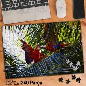 Asil Hobi Papağan-Egzotik Kuşlar-Renkli Yaz Yapboz-Ayak Destekli Çerçeveli 240 Parça Puzzle