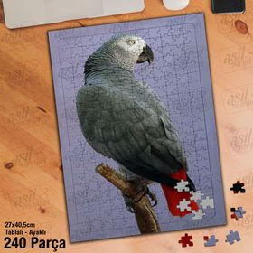 Asil Hobi Papağan-Kuş-Amazon-Afrika-Hayvan Yapboz-Ayak Destekli Çerçeveli 240 Parça Puzzle