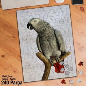 Asil Hobi Papağan-Kuş-Amazon-Afrika-Hayvan Yapboz-Ayak Destekli Çerçeveli 240 Parça Puzzle