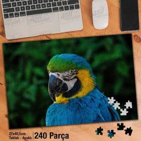 Asil Hobi Papağan-Kuş-Amazon-Afrika-Hayvan Yapboz-Ayak Destekli Çerçeveli 240 Parça Puzzle
