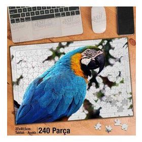 Asil Hobi Papağan-Kuş-Amazon-Tabiat-Hayvan Yapboz-Ayak Destekli Çerçeveli 240 Parça Puzzle