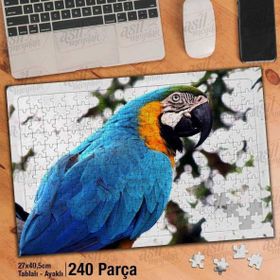Asil Hobi Papağan-Kuş-Amazon-Tabiat-Hayvan Yapboz-Ayak Destekli Çerçeveli 240 Parça Puzzle