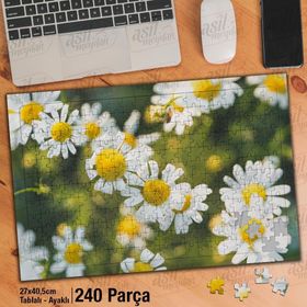 Asil Hobi Papatya-Doğa-Çiçek-Bitki-Peyzaj Yapboz-Ayak Destekli Çerçeveli 240 Parça Puzzle