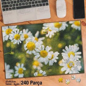 Asil Hobi Papatya-Doğa-Çiçek-Bitki-Peyzaj Yapboz-Ayak Destekli Çerçeveli 240 Parça Puzzle