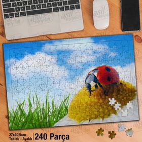 Asil Hobi Papatya Üzerinde Uğur Böceği-Şans Yapboz-Ayak Destekli Çerçeveli 240 Parça Puzzle