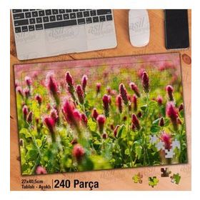 Asil Hobi Pembe Çiçekler-Doğa-Bitki-Peyzaj Yapboz-Ayak Destekli Çerçeveli 240 Parça Puzzle
