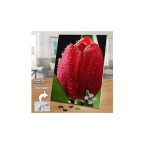Asil Hobi Pembe Lale-Su Damlaları-Çiçek Yapboz-Ayak Destekli Çerçeveli 240 Parça Puzzle