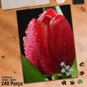 Asil Hobi Pembe Lale-Su Damlaları-Çiçek Yapboz-Ayak Destekli Çerçeveli 240 Parça Puzzle