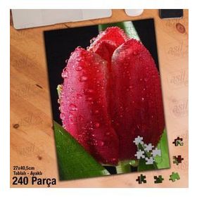Asil Hobi Pembe Lale-Su Damlaları-Çiçek Yapboz-Ayak Destekli Çerçeveli 240 Parça Puzzle