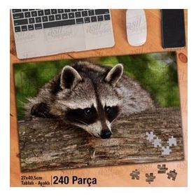 Asil Hobi Rakun-Vahşi Hayvan-Canlı-Tabiat-Doğa Yapboz-Ayak Destekli Çerçeveli 240 Parça Puzzle
