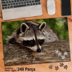 Asil Hobi Rakun-Vahşi Hayvan-Canlı-Tabiat-Doğa Yapboz-Ayak Destekli Çerçeveli 240 Parça Puzzle
