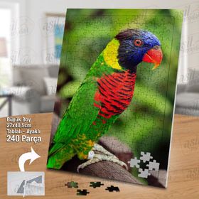 Asil Hobi Rengarenk Tüylü Papağan-Amazon-Kuş Yapboz-Ayak Destekli Çerçeveli 240 Parça Puzzle