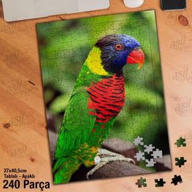 Asil Hobi Rengarenk Tüylü Papağan-Amazon-Kuş Yapboz-Ayak Destekli Çerçeveli 240 Parça Puzzle