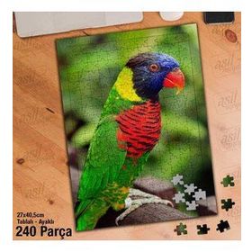 Asil Hobi Rengarenk Tüylü Papağan-Amazon-Kuş Yapboz-Ayak Destekli Çerçeveli 240 Parça Puzzle