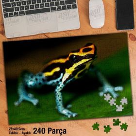 Asil Hobi Renkli Desenli Kurbağa-Hayvan-Doğa Yapboz-Ayak Destekli Çerçeveli 240 Parça Puzzle