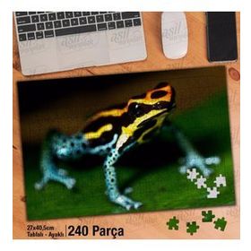 Asil Hobi Renkli Desenli Kurbağa-Vahşi Yaşam Yapboz-Ayak Destekli Çerçeveli 240 Parça Puzzle