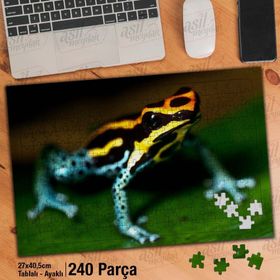 Asil Hobi Renkli Desenli Kurbağa-Vahşi Yaşam Yapboz-Ayak Destekli Çerçeveli 240 Parça Puzzle