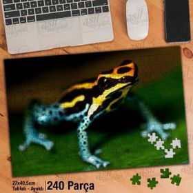 Asil Hobi Renkli Desenli Kurbağa-Vahşi Yaşam Yapboz-Ayak Destekli Çerçeveli 240 Parça Puzzle