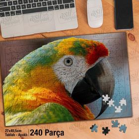 Asil Hobi Renkli Papağan-Kuş-Sevimli Hayvan Yapboz-Ayak Destekli Çerçeveli 240 Parça Puzzle