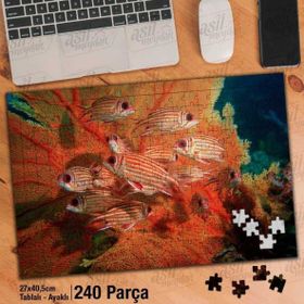 Asil Hobi Renkli Turuncu Balıklar-Okyanus Yapboz-Ayak Destekli Çerçeveli 240 Parça Puzzle