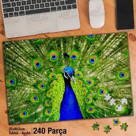 Asil Hobi Renkli Tüylü Tavus Kuşu-Hayvan-Doğa Yapboz-Ayak Destekli Çerçeveli 240 Parça Puzzle