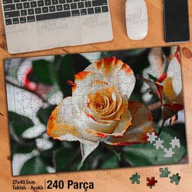 Asil Hobi Rose-Beyaz Ve Turuncu Renkte Gül-Çiçek Yapboz-Ayak Destekli Çerçeveli 240 Parça Puzzle