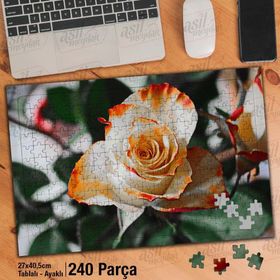 Asil Hobi Rose-Beyaz Ve Turuncu Renkte Gül-Çiçek Yapboz-Ayak Destekli Çerçeveli 240 Parça Puzzle