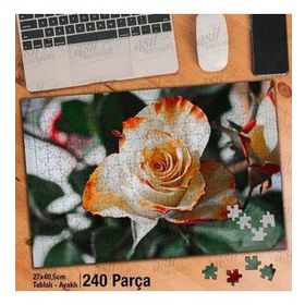 Asil Hobi Rose-Beyaz Ve Turuncu Renkte Gül-Çiçek Yapboz-Ayak Destekli Çerçeveli 240 Parça Puzzle