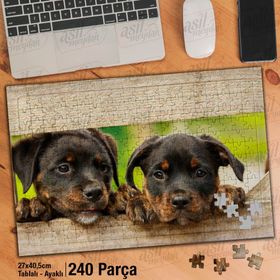 Asil Hobi Rottweiler Şirin Köpek Yavrusu-Hayvan Yapboz-Ayak Destekli Çerçeveli 240 Parça Puzzle