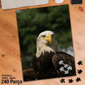 Asil Hobi Şahin-Kartal-Yırtıcı Hayvan-Doğa Yapboz-Ayak Destekli Çerçeveli 240 Parça Puzzle
