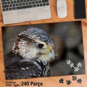 Asil Hobi Şahin-Kartal-Yırtıcı Kuş-Vahşi Yaşam Yapboz-Ayak Destekli Çerçeveli 240 Parça Puzzle