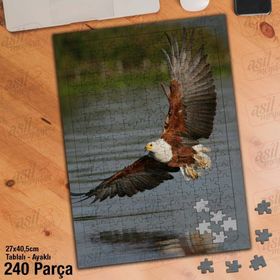 Asil Hobi Şahin-Yırtıcı Kuş-Deniz-Yansıma Yapboz-Ayak Destekli Çerçeveli 240 Parça Puzzle