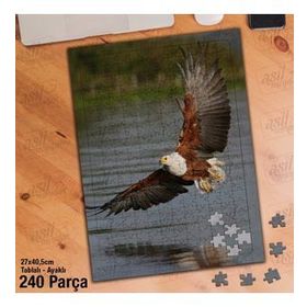 Asil Hobi Şahin-Yırtıcı Kuş-Deniz-Yansıma Yapboz-Ayak Destekli Çerçeveli 240 Parça Puzzle