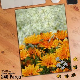 Asil Hobi Sarı Çiçekler-Doğa-Bitki-Tabiat Yapboz-Ayak Destekli Çerçeveli 240 Parça Puzzle