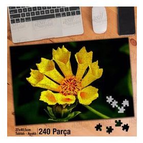 Asil Hobi Sarı Hoş Çiçek-Bitki-Doğa Yapboz-Ayak Destekli 240 Parça Puzzle